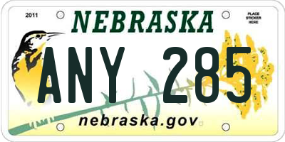 NE license plate ANY285