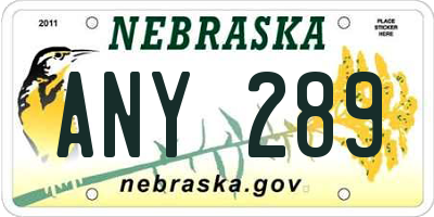 NE license plate ANY289