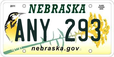 NE license plate ANY293