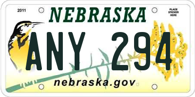 NE license plate ANY294