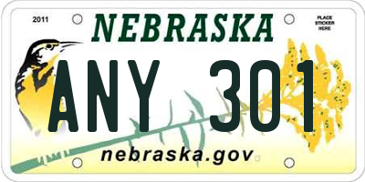 NE license plate ANY301