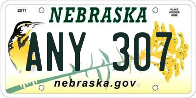 NE license plate ANY307