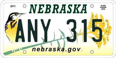 NE license plate ANY315