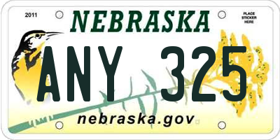 NE license plate ANY325