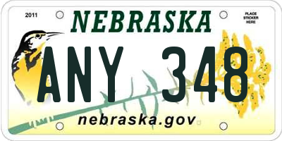 NE license plate ANY348