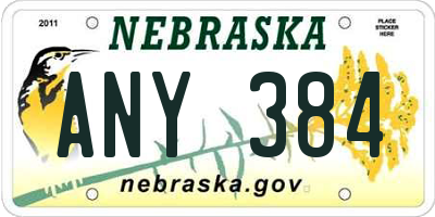 NE license plate ANY384