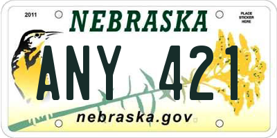 NE license plate ANY421