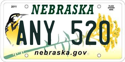 NE license plate ANY520