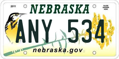 NE license plate ANY534