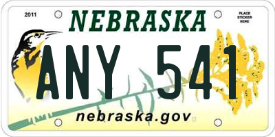 NE license plate ANY541