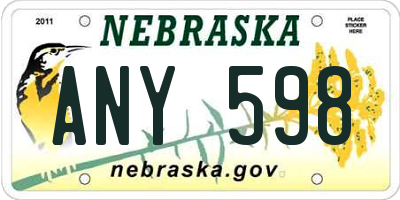 NE license plate ANY598