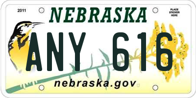 NE license plate ANY616