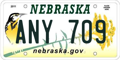 NE license plate ANY709