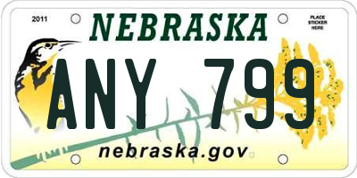 NE license plate ANY799