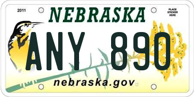 NE license plate ANY890