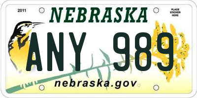 NE license plate ANY989