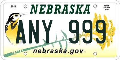 NE license plate ANY999