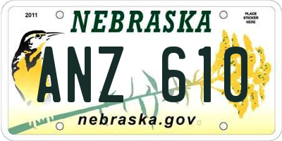 NE license plate ANZ610