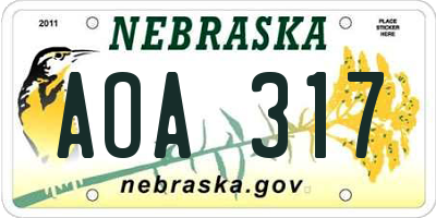 NE license plate AOA317