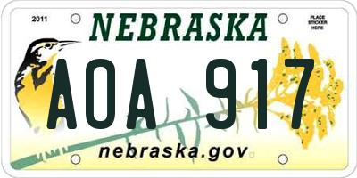NE license plate AOA917