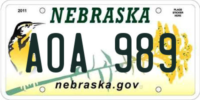 NE license plate AOA989