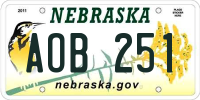 NE license plate AOB251