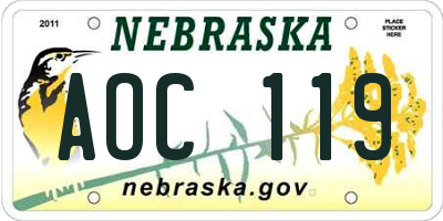 NE license plate AOC119