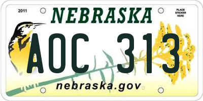 NE license plate AOC313