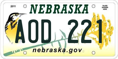 NE license plate AOD221