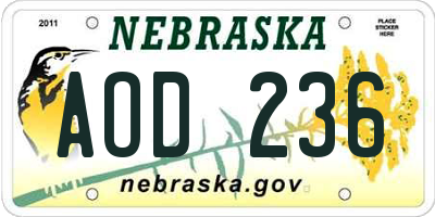 NE license plate AOD236