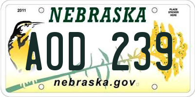 NE license plate AOD239