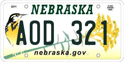 NE license plate AOD321
