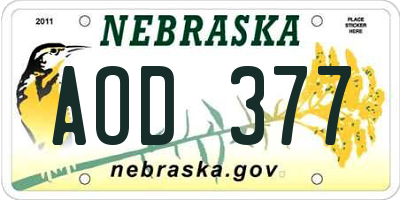 NE license plate AOD377