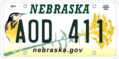 NE license plate AOD411