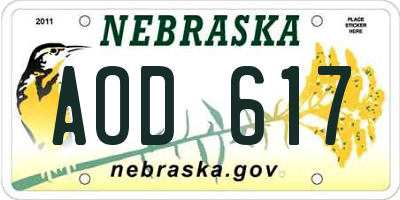 NE license plate AOD617