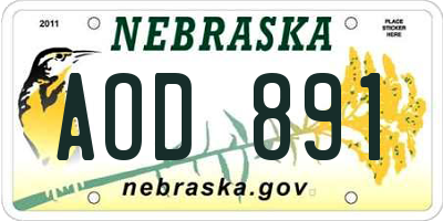 NE license plate AOD891