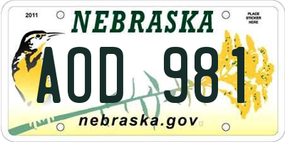 NE license plate AOD981