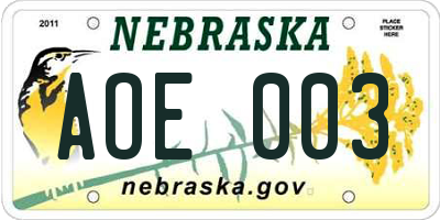 NE license plate AOE003
