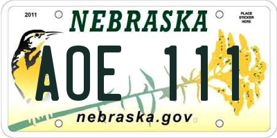 NE license plate AOE111