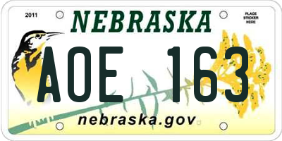 NE license plate AOE163