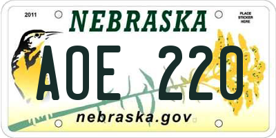 NE license plate AOE220