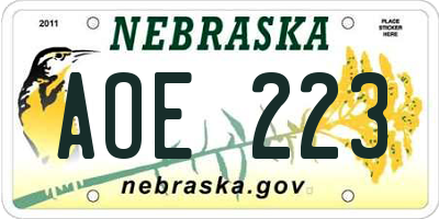 NE license plate AOE223