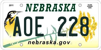 NE license plate AOE228