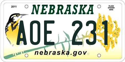 NE license plate AOE231