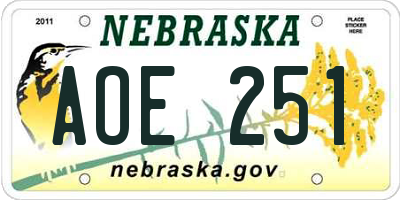NE license plate AOE251