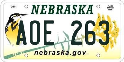 NE license plate AOE263