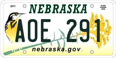 NE license plate AOE291