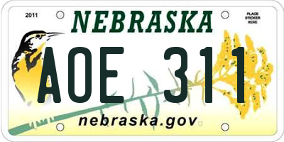 NE license plate AOE311