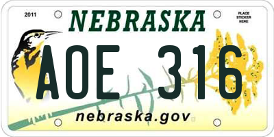 NE license plate AOE316
