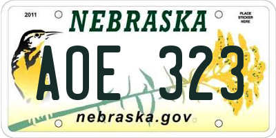 NE license plate AOE323